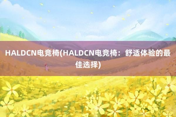 HALDCN电竞椅(HALDCN电竞椅：舒适体验的最佳选择)