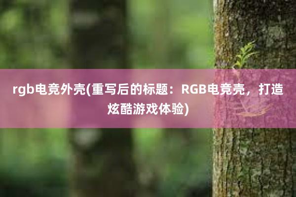 rgb电竞外壳(重写后的标题：RGB电竞壳，打造炫酷游戏体验)