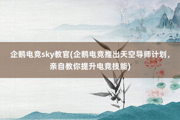 企鹅电竞sky教官(企鹅电竞推出天空导师计划，亲自教你提升电竞技能)