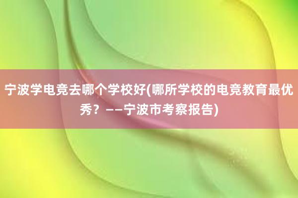 宁波学电竞去哪个学校好(哪所学校的电竞教育最优秀？——宁波市考察报告)