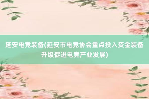 延安电竞装备(延安市电竞协会重点投入资金装备升级促进电竞产业发展)