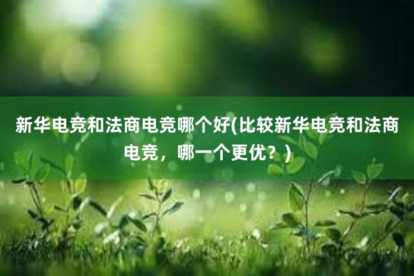 新华电竞和法商电竞哪个好(比较新华电竞和法商电竞，哪一个更优？)