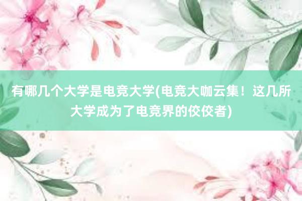 有哪几个大学是电竞大学(电竞大咖云集！这几所大学成为了电竞界的佼佼者)