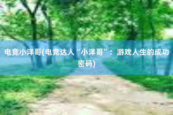 电竞小洋哥(电竞达人“小洋哥”：游戏人生的成功密码)