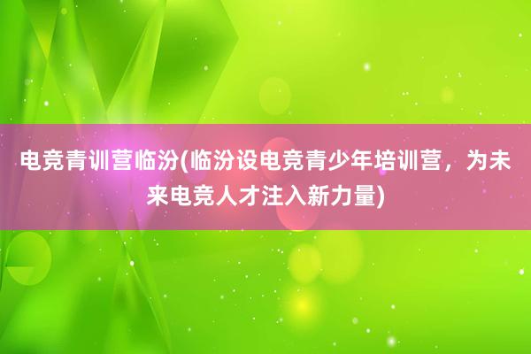 电竞青训营临汾(临汾设电竞青少年培训营，为未来电竞人才注入新力量)