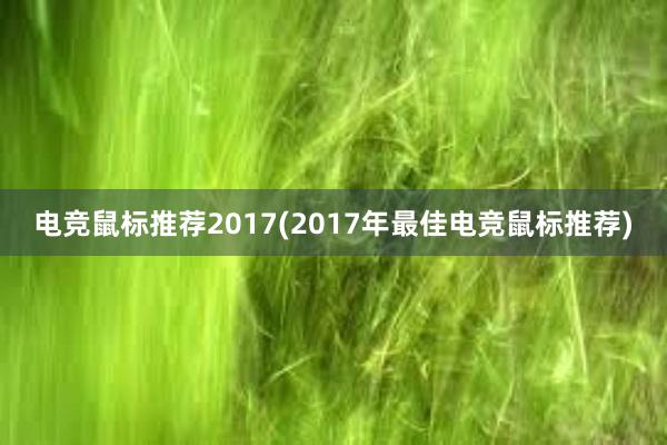 电竞鼠标推荐2017(2017年最佳电竞鼠标推荐)