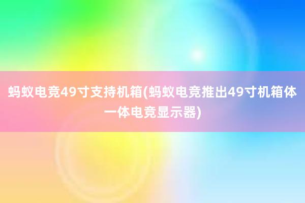 蚂蚁电竞49寸支持机箱(蚂蚁电竞推出49寸机箱体一体电竞显示器)