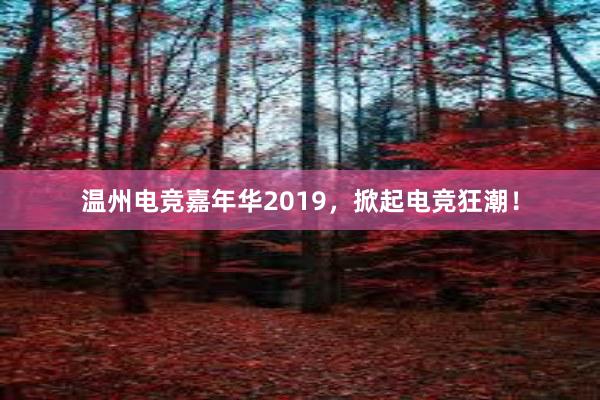 温州电竞嘉年华2019，掀起电竞狂潮！