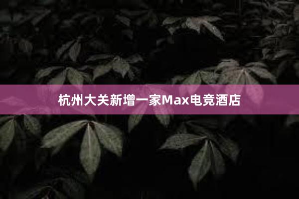 杭州大关新增一家Max电竞酒店