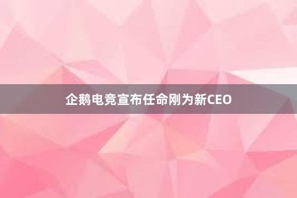 企鹅电竞宣布任命刚为新CEO