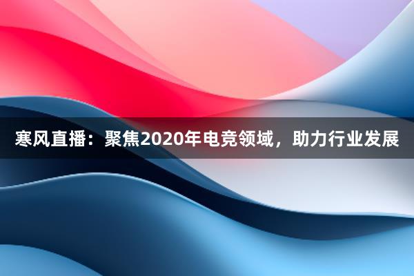 寒风直播：聚焦2020年电竞领域，助力行业发展