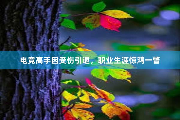 电竞高手因受伤引退，职业生涯惊鸿一瞥