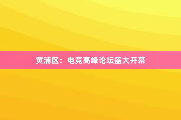 黄浦区：电竞高峰论坛盛大开幕