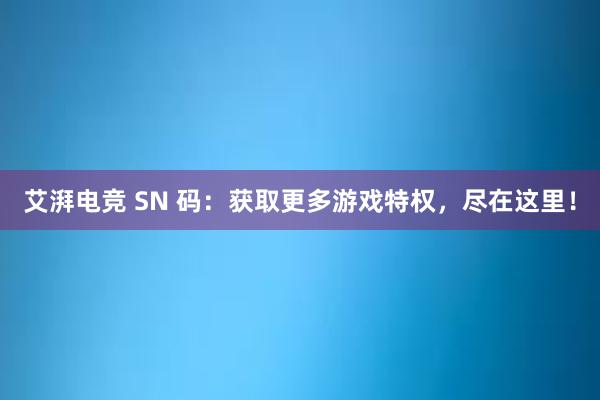 艾湃电竞 SN 码：获取更多游戏特权，尽在这里！