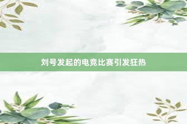 刘号发起的电竞比赛引发狂热