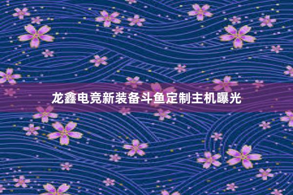 龙鑫电竞新装备斗鱼定制主机曝光